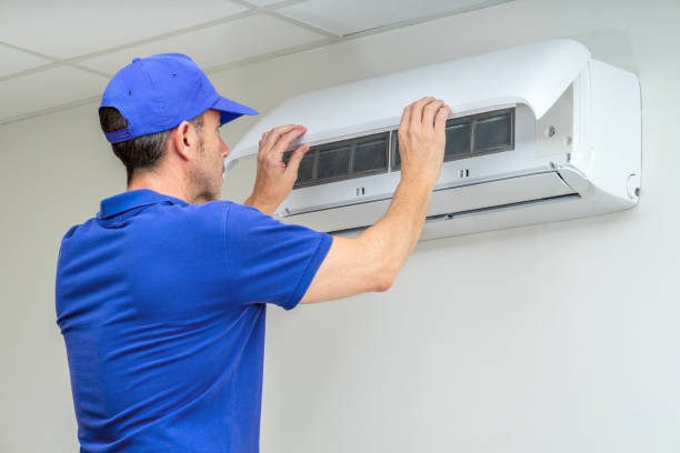 Best Home Air Vent Cleaning  in Annandale, MN