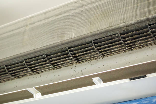 Best Affordable Air Duct Cleaning  in Annandale, MN