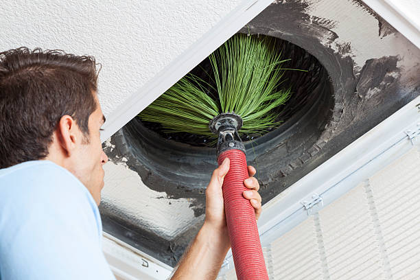 Best Air Duct Cleaning Near Me  in Annandale, MN