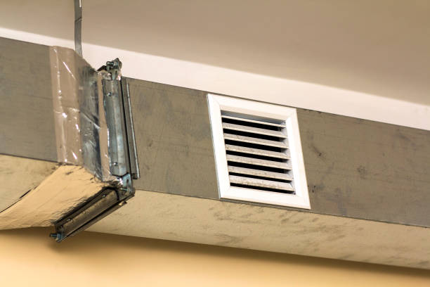 Best Local Air Duct Cleaning Services  in Annandale, MN